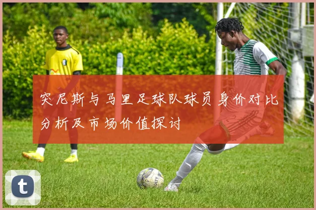突尼斯与马里足球队球员身价对比分析及市场价值探讨
