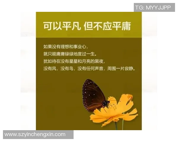 王汝恒的成长之路：从普通学生到杰出人才的奋斗历程与心路历程